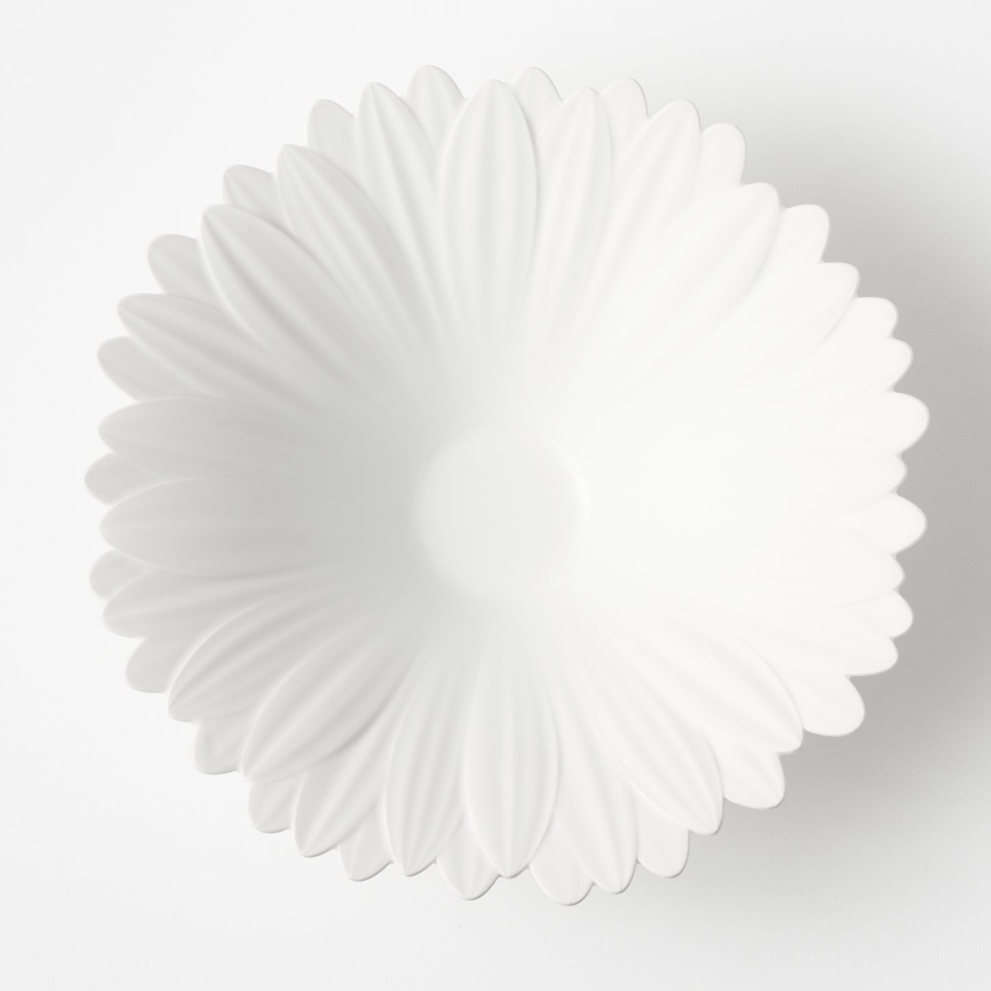 Gerbera Daisy Bowl