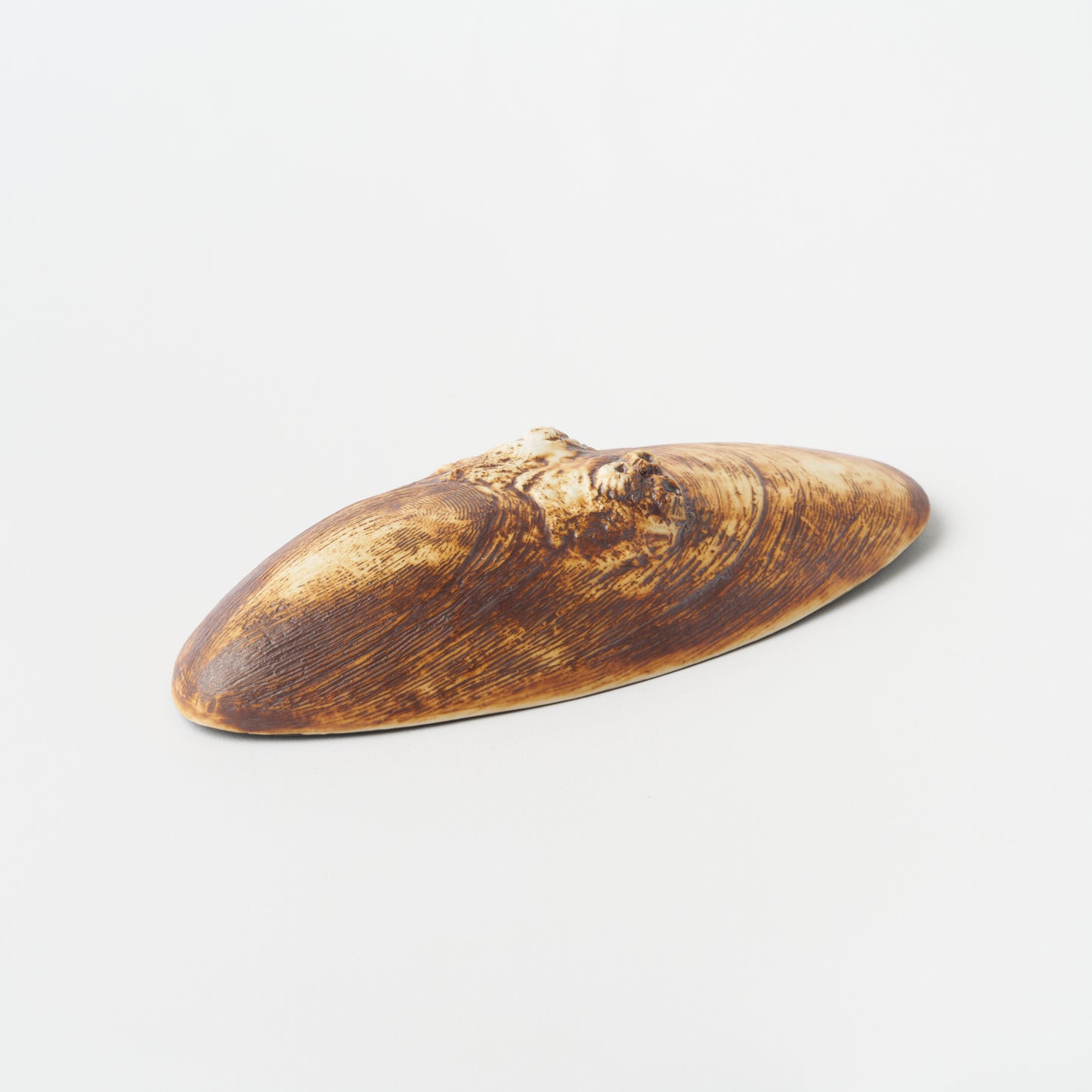 Mussel Plate Rusty Inner Black
