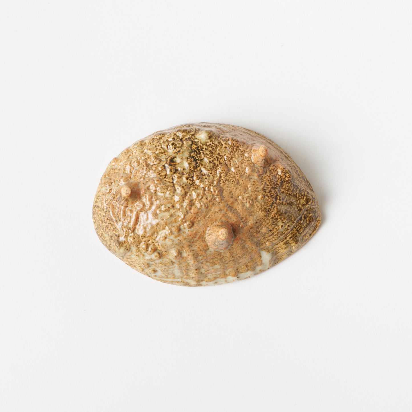 Abalone Shell Plate (L)