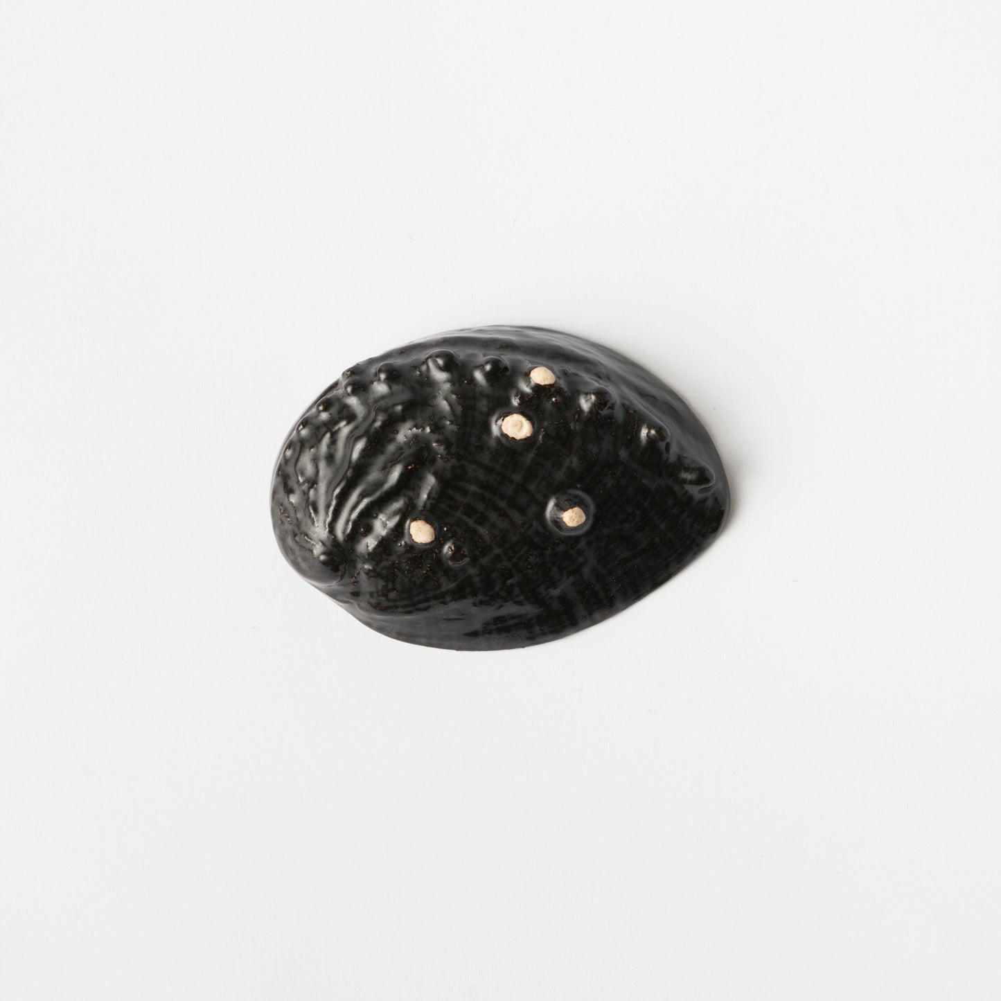 Abalone Shell Plate (S)