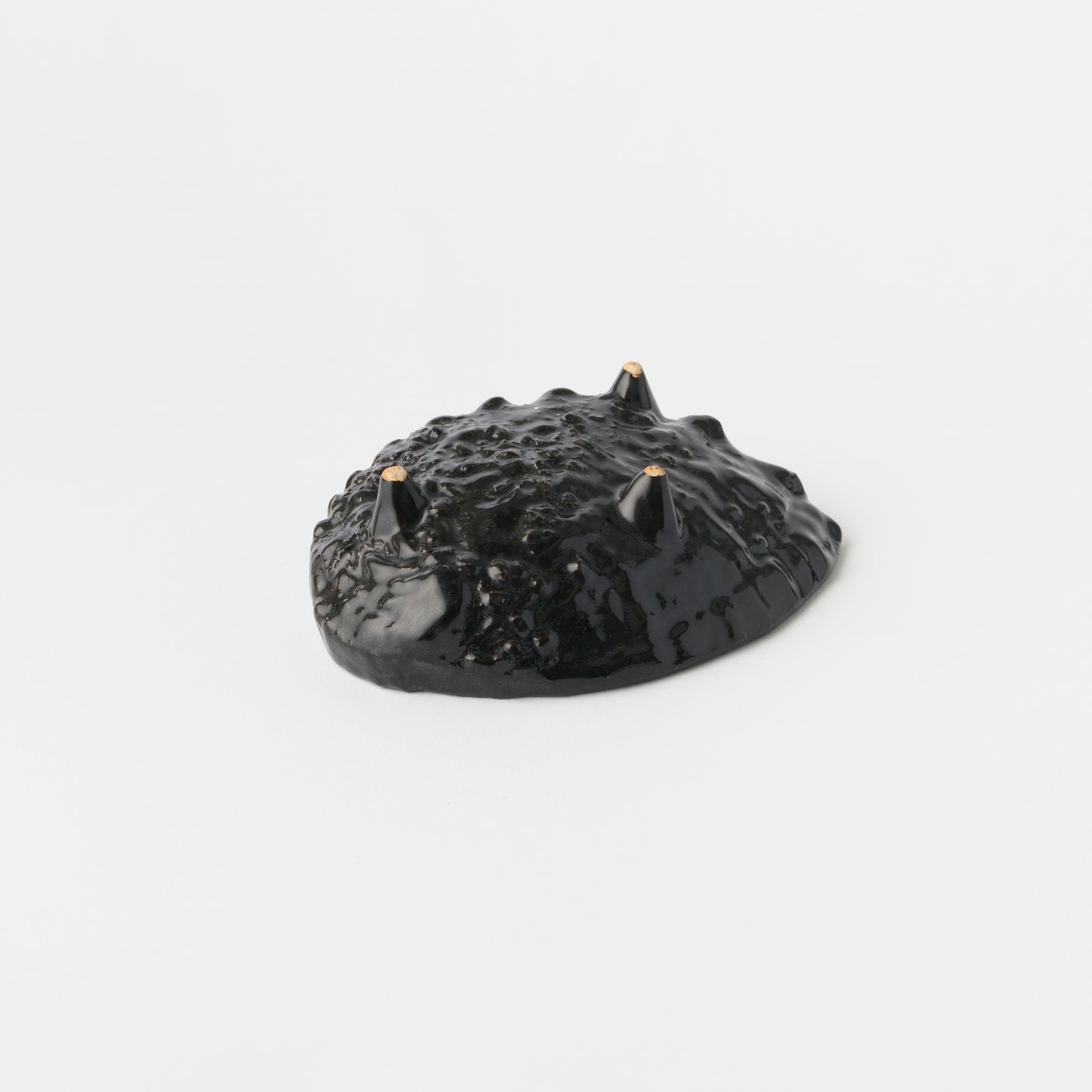 Abalone Shell Plate (L)