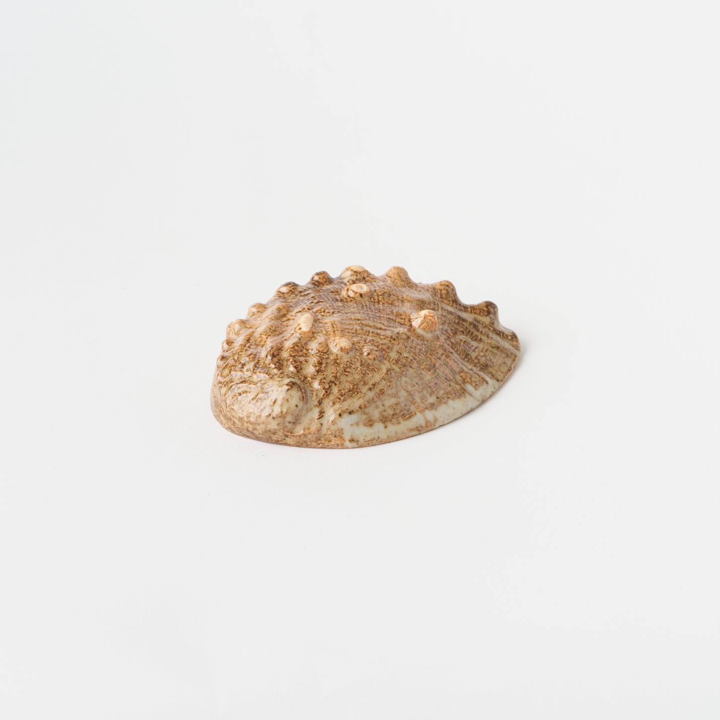 Abalone Shell Plate (S)