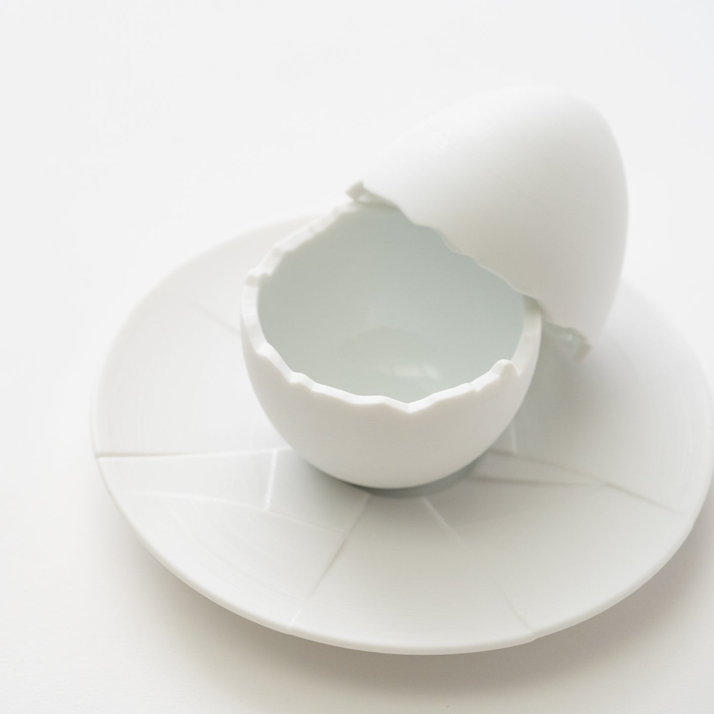 Egg Covered Bowl & Crack Plate