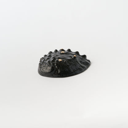 Abalone Shell Plate (S)