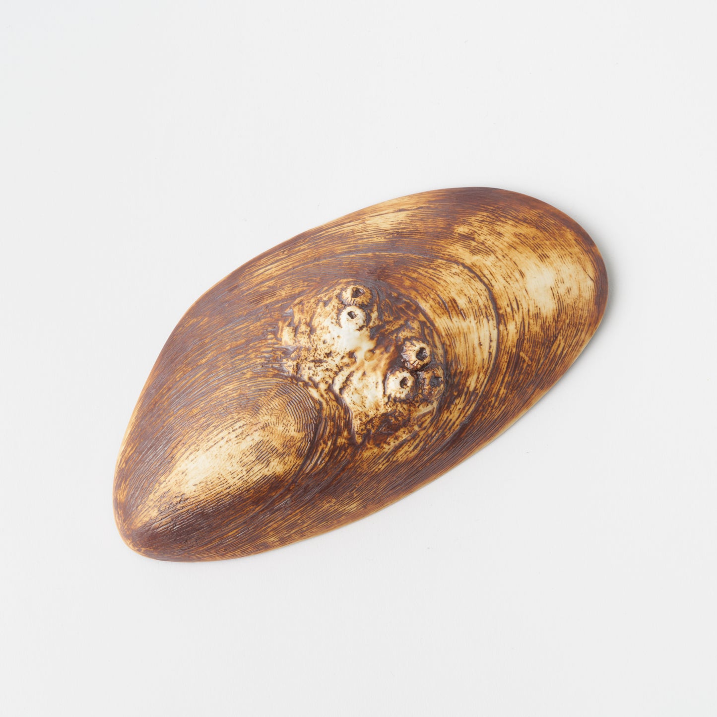 Mussel Plate Rusty Inner Black